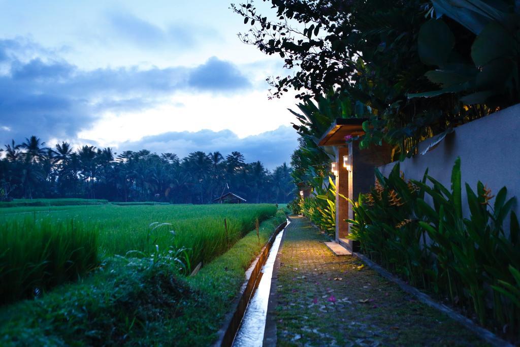 Satori Villas Bali Ubud  Exterior photo