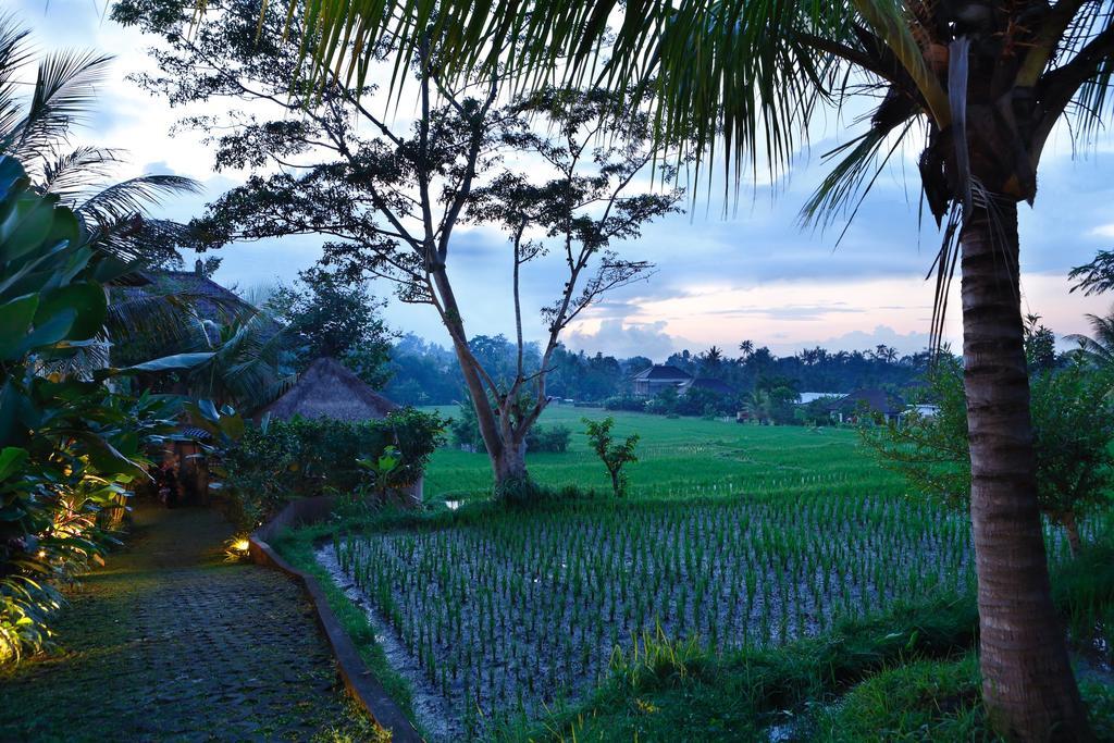 Satori Villas Bali Ubud  Exterior photo